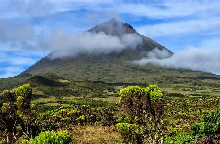 Xa Rral-579 马达莱纳